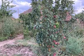 1-этажный дом, 39,5 м²