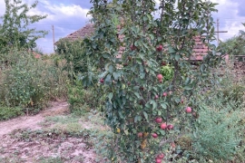 1-этажный дом, 39,5 м²